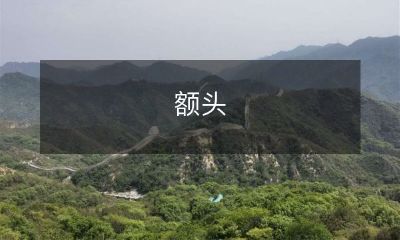 面积和头发数量的综合影响因素：额头宽窄和发际线高低的相关性研究