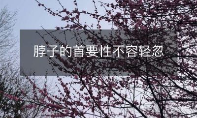 认识脖子的重要性，保护好它的健康始终关乎整个身体的稳健运转！