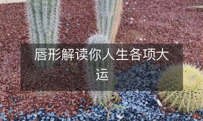 如何通过唇形解读预测人生各项大运？一项掌握唇形学的技能，帮助您更好地了解自己的潜在天赋和个性特质，达到事半功倍的效果！