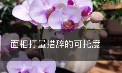 如何通过面相观察和措辞分析来提高可靠性？