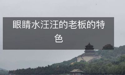 特色老板的热泪盈眶，感动员工的励志故事