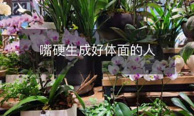 如何通过口吐芬芳变得体面优雅？——探讨嘴硬生成好体面的人的秘诀