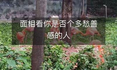 如何从面相判断你是否是一个充满忧愁和细腻情感的个体？