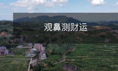 采用观察鼻部特征来研究个人财运之现象及其应用前景的分析与探讨