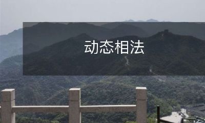 使用动态相法进行物理光学研究的原理、方法和技术