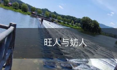 的对比：挖掘人才的重要性与防止破坏者所造成的影响