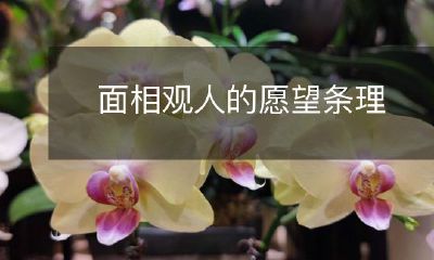 深入探究面相学解读人格，实现观察他人愿望的有条不紊的步骤