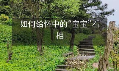 如何通过适当的角度、光线和表情，为你怀中的心爱“宝宝”拍摄完美的照片并展示他们的可爱、天真和无邪视角？