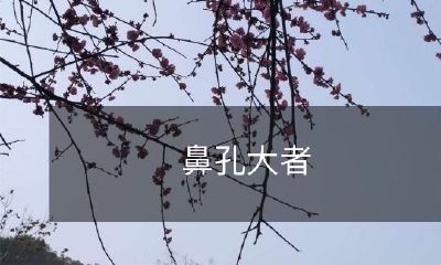 通风更顺畅，呼吸更顺畅，健康更美好：揭示鼻孔大小与健康关系的研究