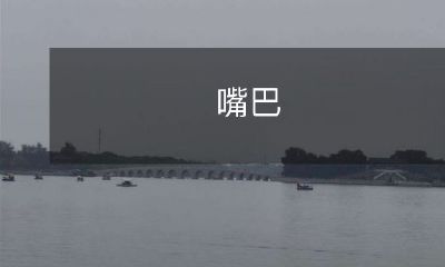 能否打开得越大，就能说出越多的话？——探讨嘴巴大小与言语能力之间的关系