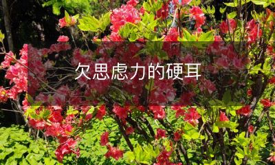 如何提高思虑力并避免成为一个毫无思考的机械硬耳人？