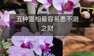 探究五种面相最易遭遇金钱不测的概率及其原因