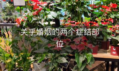 揭秘婚姻的两个核心问题：关键部位解析与帮助方法探究