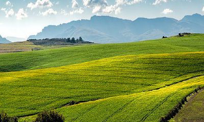 哪种腿型更能旺夫？萝卜腿是旺夫的理想选择吗？