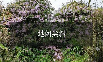 峭壁上屹立的古老建筑 - 地阁尖斜