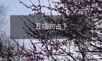 掌纹读取：探究五指占卜的奥秘