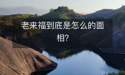 老来福的相面特征有哪些？详细解析老来福的相貌特点！