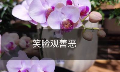 探讨笑脸对善恶观的影响及其所代表的价值观与文化差异