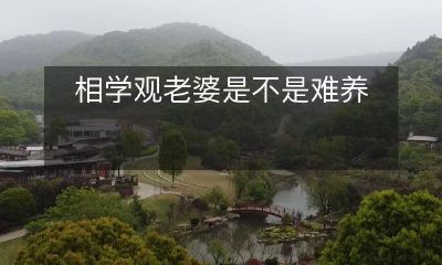 在婚姻中，相学的影响究竟有多大？老婆是否难以养活，取决于许多因素，包括相学因素