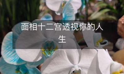 面相十二宫透视你的人生：解析你的命运、性格和未来趋势