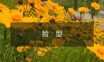 掌握脸型分类、适合发型和化妆技巧的秘诀，打造完美的个性化美容方案