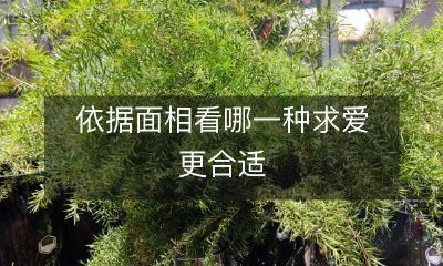 根据面相研究，哪种求爱方式更适合您的个性特点？
