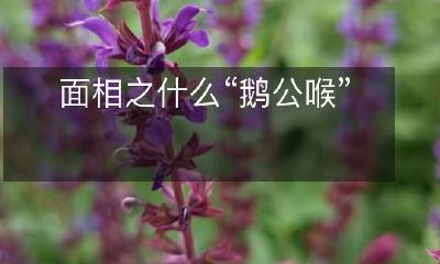 探寻面相学中的神秘之一——解读“鹅公喉”相位的意义