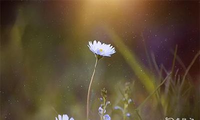 通过排列年柱了解文昌贵人的含义及其在其他柱位的解读