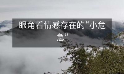 从眼角角度探讨情感存在的微妙危机