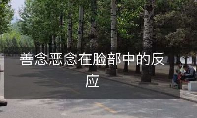 善意和恶意思维对人脸表情的影响：探究善念和恶念在面部反应中的作用机制