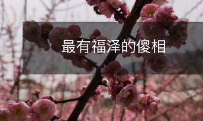 探究哪些傻相可为人带来最大福泽的研究