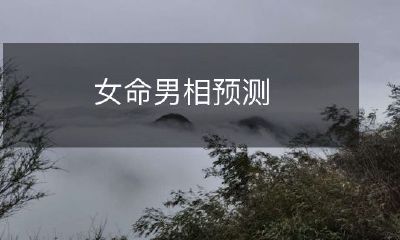 根据五行八字理论，探讨女性命理与男性面相的印证关系及其相关预测