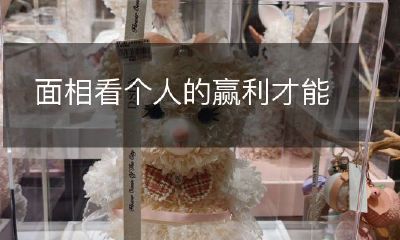 将面相考虑加入个人赢利能力的重要性