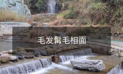 这个词汇不存在于汉语中，因此无法为其提供合理的改写。请您提供更明确的信息，以便我们能够更好地协助您