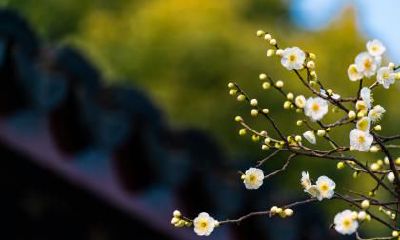 迎接立春日，可以开始进入新家生活嘛？在进新房时需要注意哪些讲究？