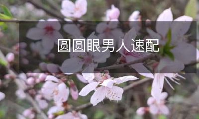 圆眼男人速配指南：找到最适合你的对象