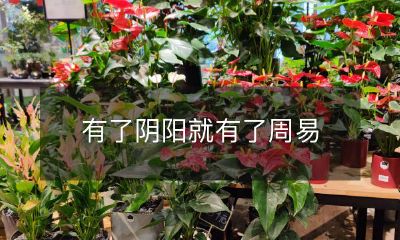 没有阴阳就没有周易──探究周易关于阴阳相互作用的重要性