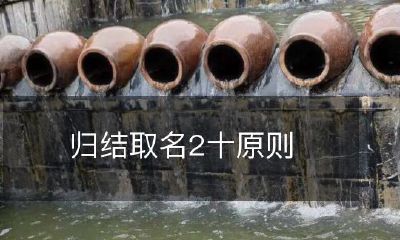 遵循二十条归结取名原则，提升品牌命名的精准性与效果