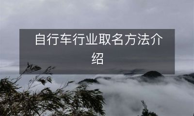 探索自行车行业中品牌命名的奥秘：揭秘自行车品牌起名的技巧和方法
