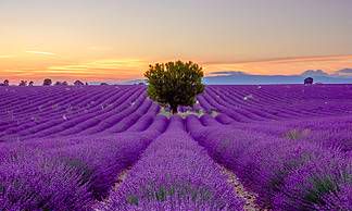 喜欢听从别人意见且缺乏自我主张的星座是哪些？