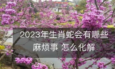 在2023年，如果你是生肖蛇，你可能会面临哪些麻烦，以及如何有效解决它们？