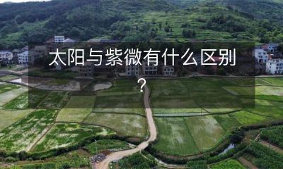 太阳与紫微星座的不同之处是什么？