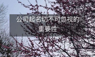 切勿忽视的公司起名重要性：为什么名字选择影响企业未来？
