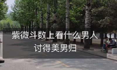 经过紫微斗数推断，如何才能成为让美男归心向往之的男人？