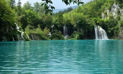 什么星座的人脑回路十分独特，常常能够想出其他人无法想到的特别问题？