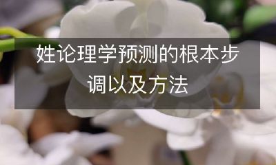 揭示姓论理学预测的本质步骤及探索其应用方法的研究