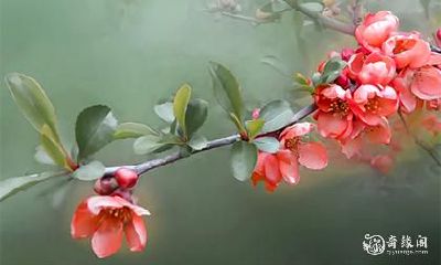 如何通过八字算命来预测子女的信息，了解免费算命技巧、孩子的命运变化及未来趋势