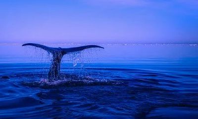 节俭消费观与老一辈人截然不同的星座：为什么有些星座比较 “抠门”？