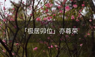 「极致居住体验的卯位」同样备受尊荣