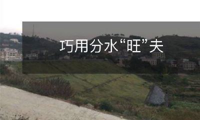 如何通过巧妙地使用分水岭技巧来提高自己的影响力，从而影响丈夫的行为和决策？